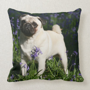 Fawn Pug Standing in the Bluebells Cushion