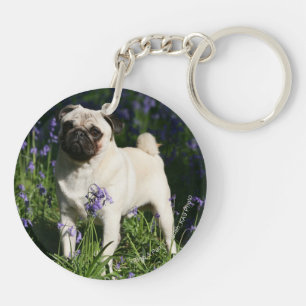 Fawn Pug Standing in the Bluebells Key Ring