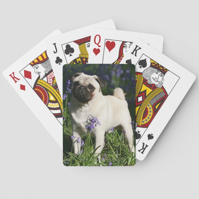 Fawn Pug Standing in the Bluebells Playing Cards (Back)