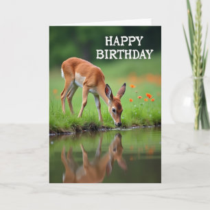 Fawn Reflection Birthday Card