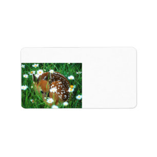 fawn resting in flowers label