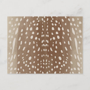 Fawn Spots Baby Deer Animal Print Pattern Holiday Postcard