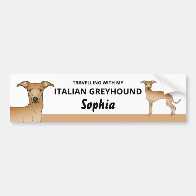 Fawn - Travelling With My Italian Greyhound Dog Bumper Sticker (Front)