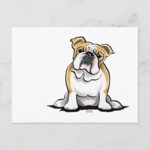 Fawn White Bulldog Sit Pretty Postcard