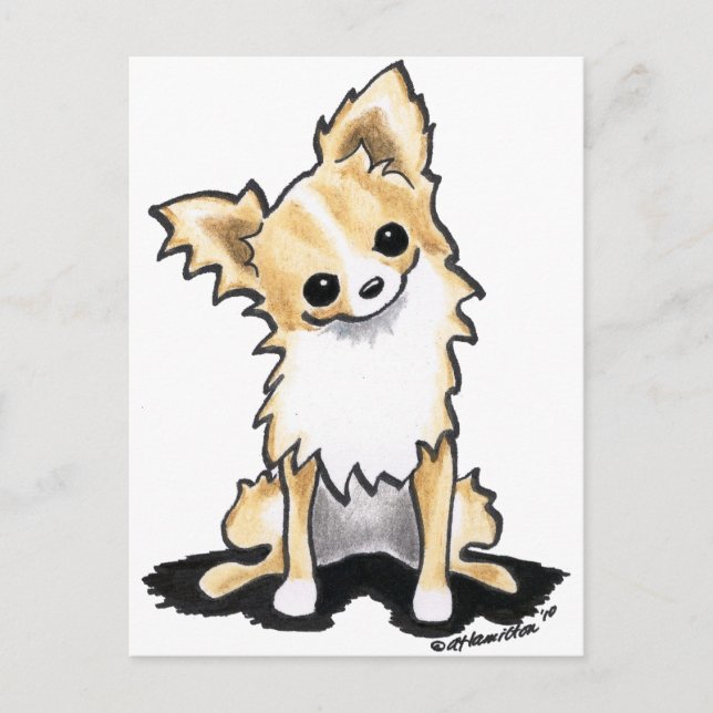 Fawn & White Longhair Chihuahua Sit Pretty Postcard (Front)