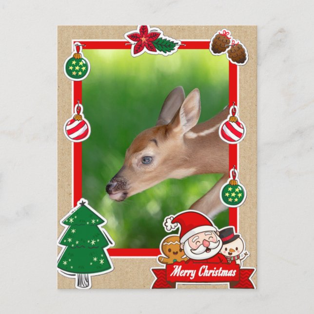 Fawn (white-tailed deer) Christmas Card (Front)