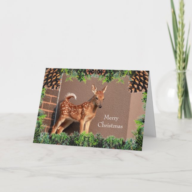 Fawn (white-tailed deer) Christmas Card (Front)