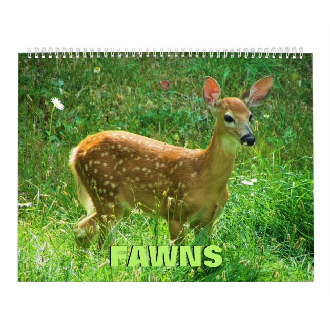 Fawns Calendar (Cover)