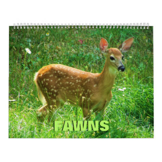 Fawns Calendar