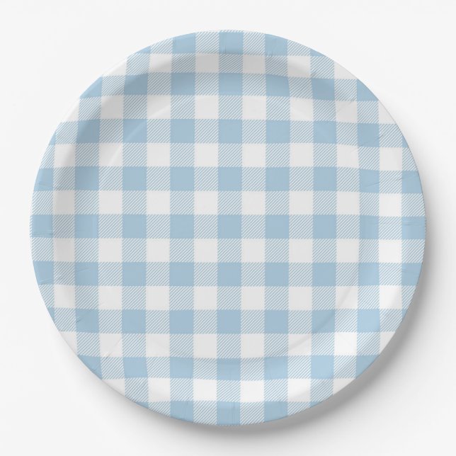 Faye and Lauren Blue Plaid Paper Plate (Front)