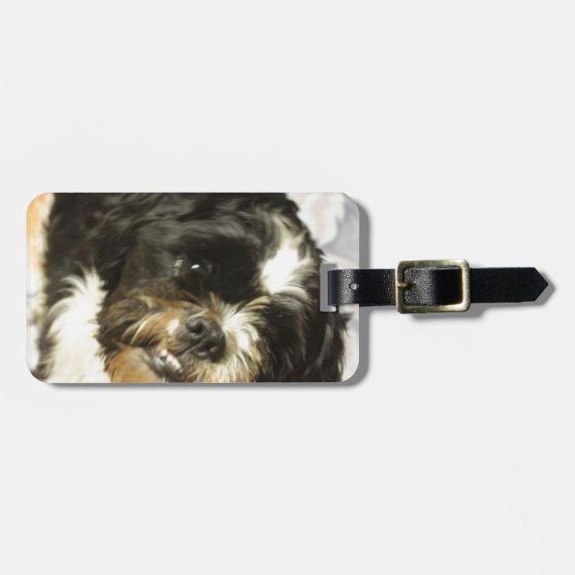 FB_IMG_1481505521015 Shitzu dog Luggage Tag (Front Horizontal)