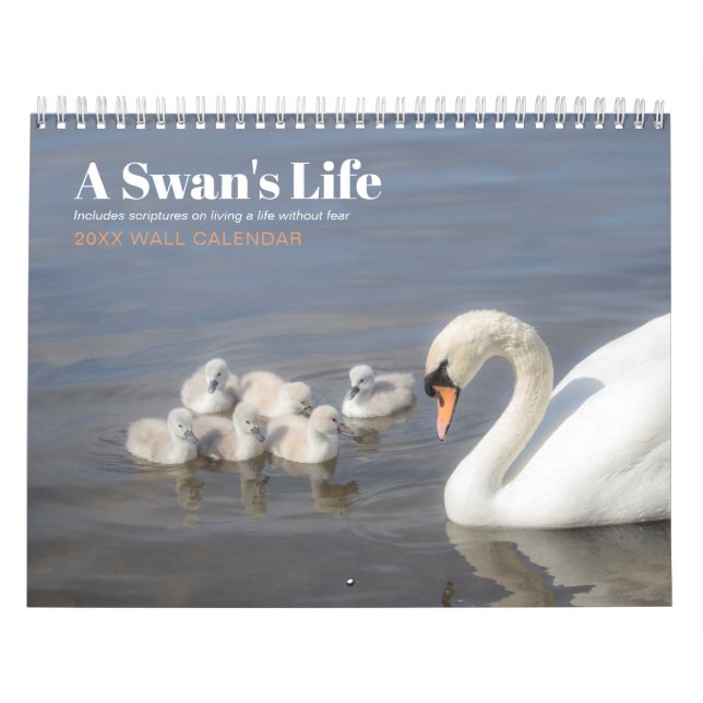 Fear Not Scripture Swan Photo Calendar (Cover)
