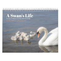 Fear Not Scripture Swan Photo Calendar