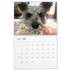 Fear the Beard: Schnauzer Edition