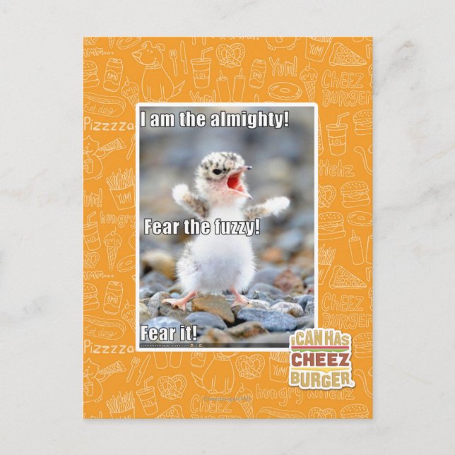 Fear the Fuzzy! Postcard (Front)