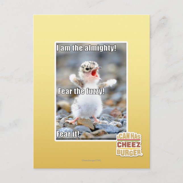 Fear the Fuzzy! Postcard (Front)