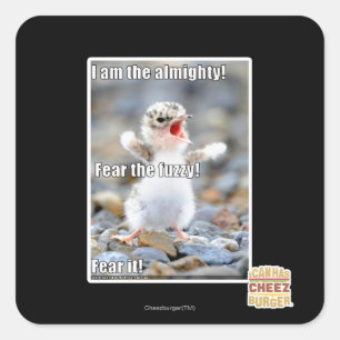 Fear the Fuzzy! Square Sticker