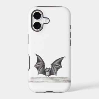 Fearless Little Bat