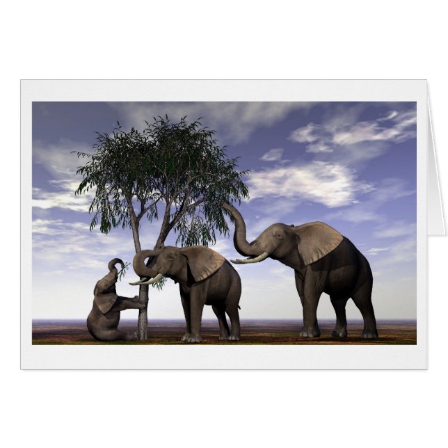 Feast or Famine-Elephants - Customised (Front Horizontal)