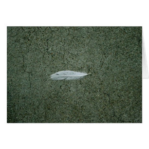 Feather
