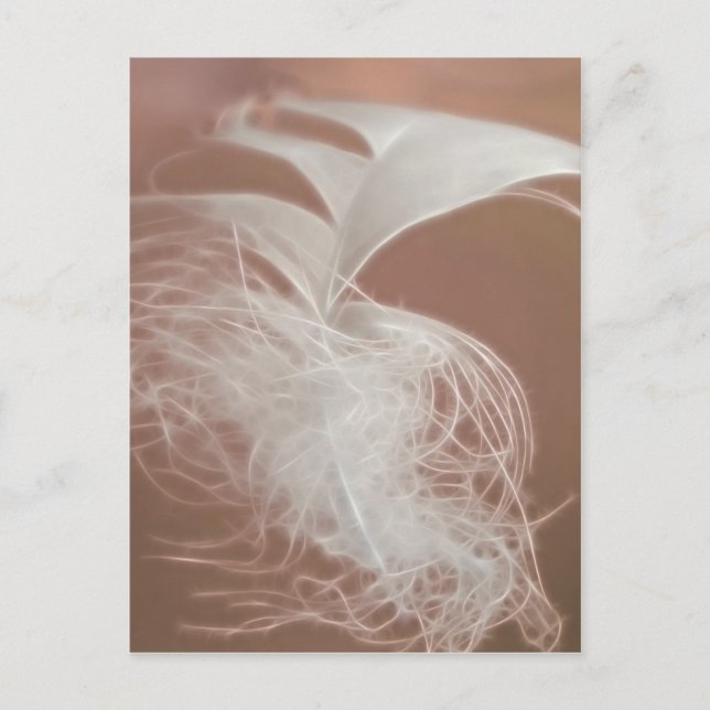 Feather Art Postcard (Front)