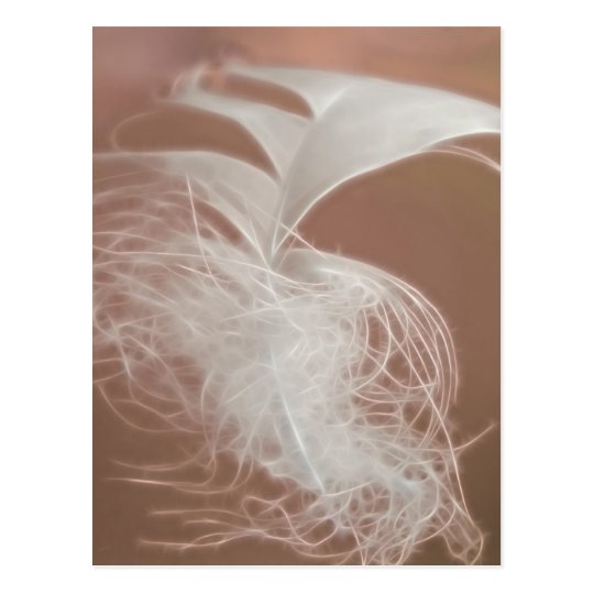 Feather Art Postcard