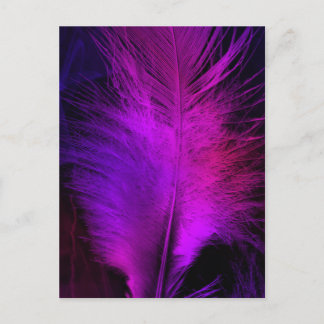 feather beautiful.jpg postcard