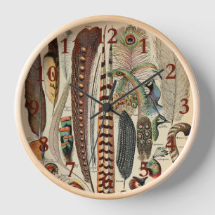 Feather Bird Wildlife Antique Feathers Clock