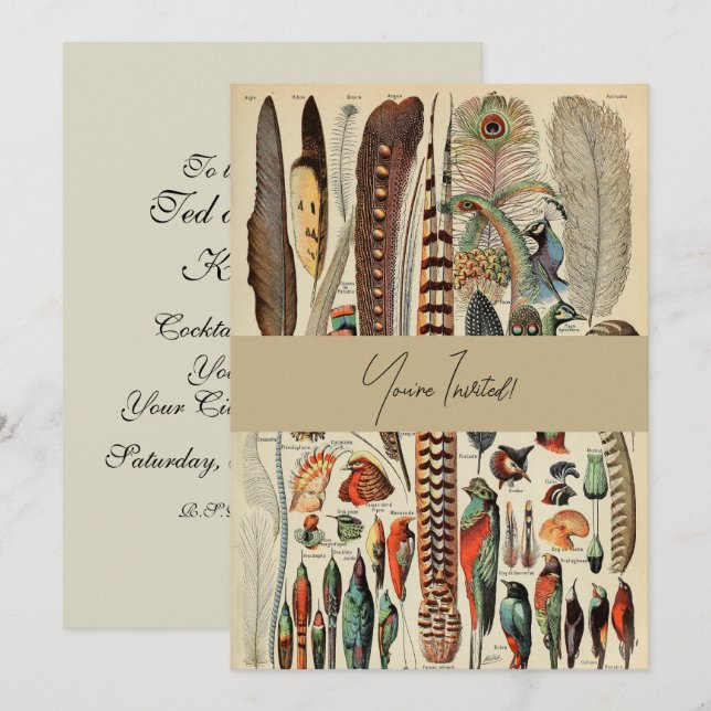 Feather Bird Wildlife Antique Feathers Invitation (Front/Back)
