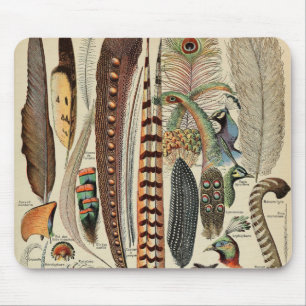 Feather Bird Wildlife Antique Feathers Mouse Mat