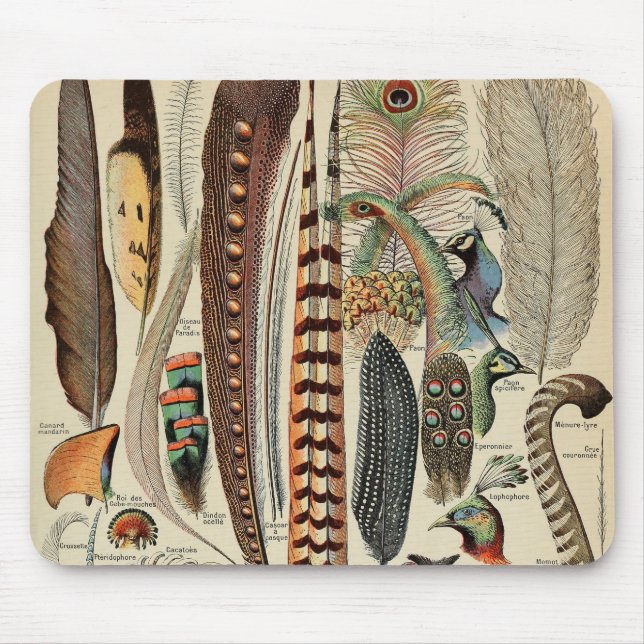 Feather Bird Wildlife Antique Feathers Mouse Mat (Front)