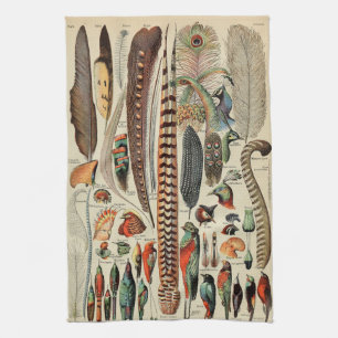Feather Bird Wildlife Antique Feathers Tea Towel
