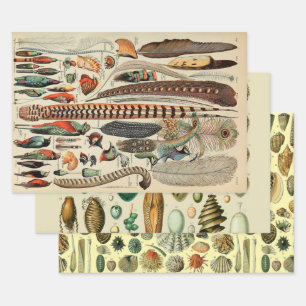 Feather Bird Wildlife Antique Feathers Wrapping Paper Sheet