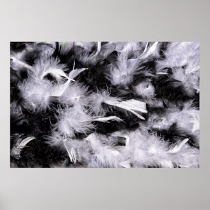 Feather boa in black and white colours poster