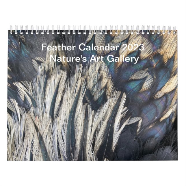 Feather Calendar 2023:  Nature's Art Gallery (Cover)