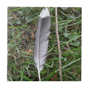 Feather Ceramic Tile