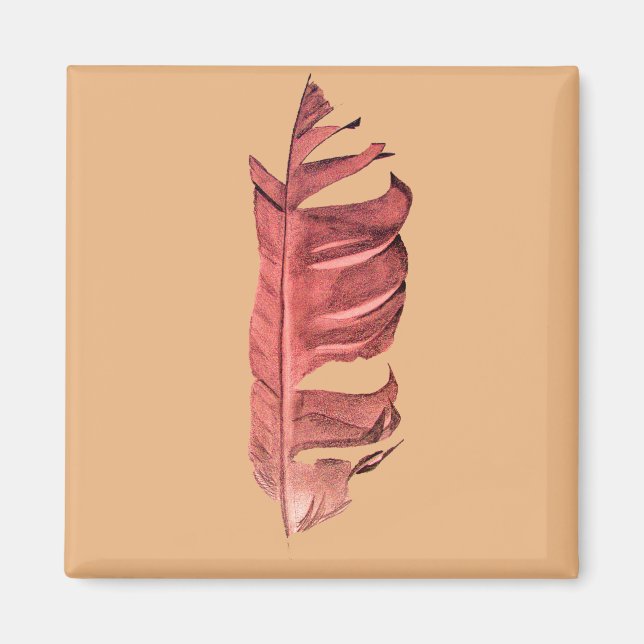 Feather drawing fine art original illustration magnet (Front)
