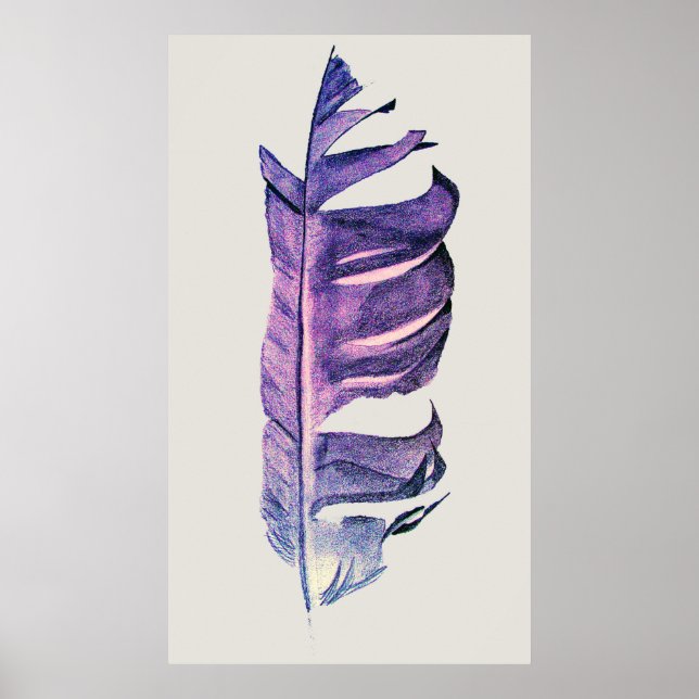 Feather drawing fine art original illustration poster (Front)