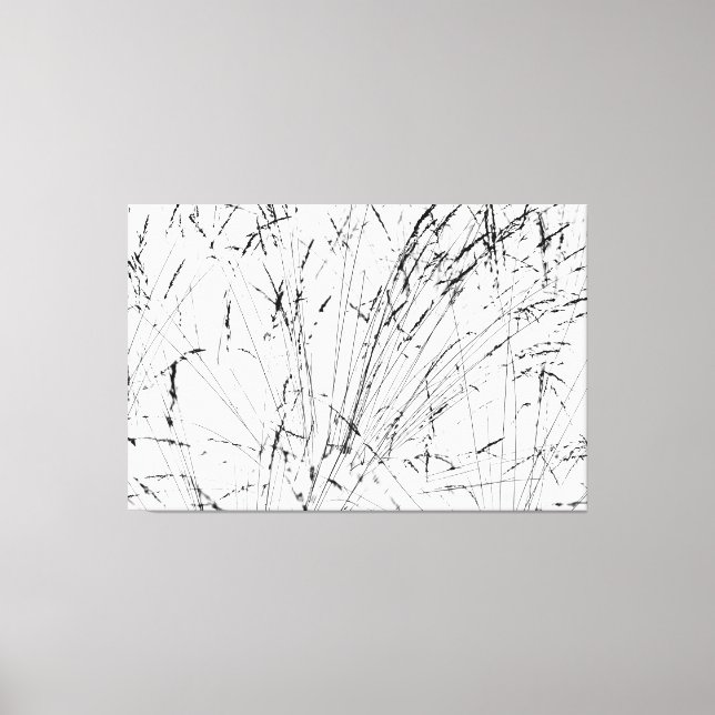 Feather Grass In Winter Canvas Print (Front)