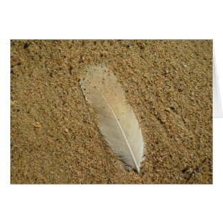 Feather on the Sand