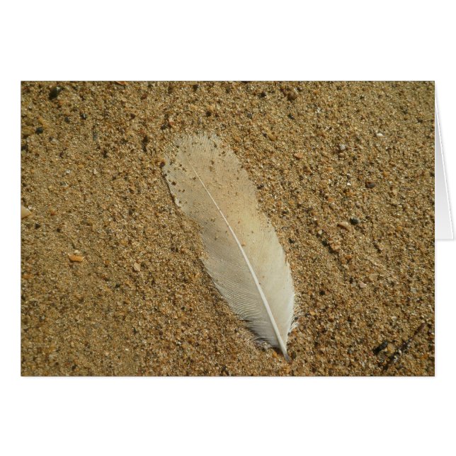 Feather on the Sand (Front Horizontal)