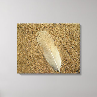Feather on the Sand Canvas Print