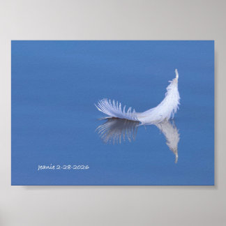 Feather on the water poster