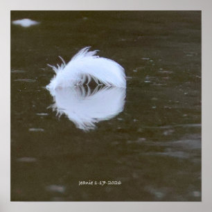 Feather on the water poster