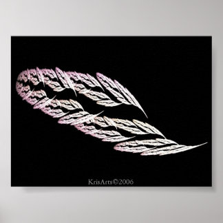 feather poster