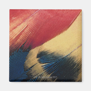 Feather surface 3 magnet