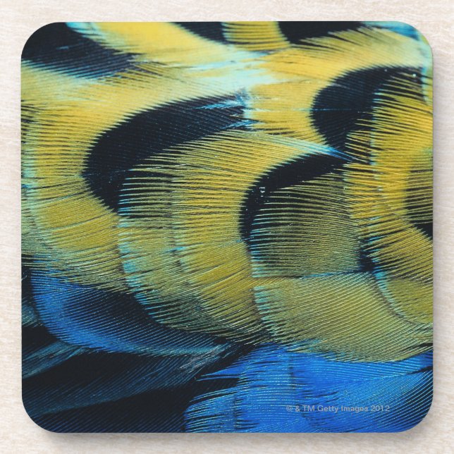 Feather surface 4 coaster (Front)