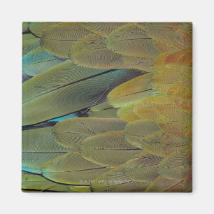 Feather surface magnet