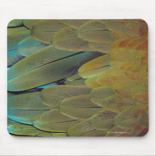 Feather surface mouse mat