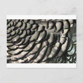 FEATHER TEXTURE POSTCARD